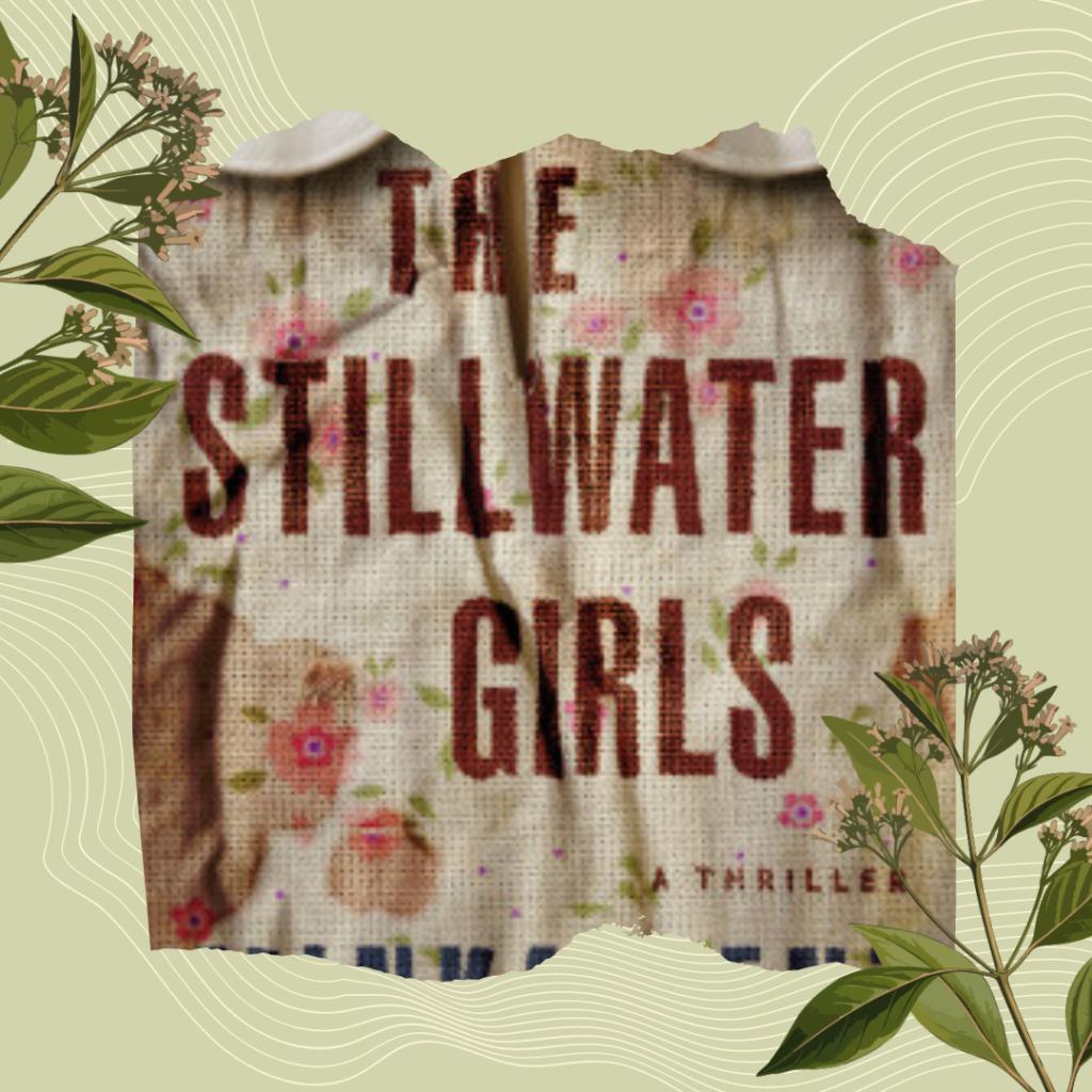 the stillwater girls by minka kent book review